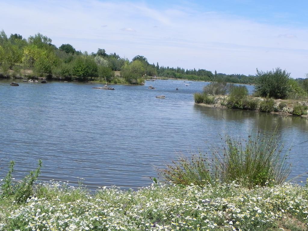 Terres De France - Natura Resort Pescalis Moncoutant Exteriör bild